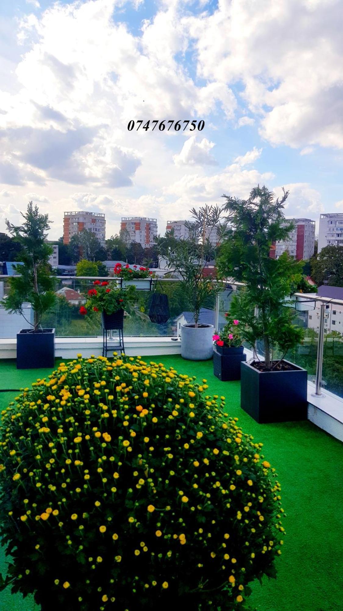 Penthouse View Aeroport Iasi Διαμέρισμα Εξωτερικό φωτογραφία