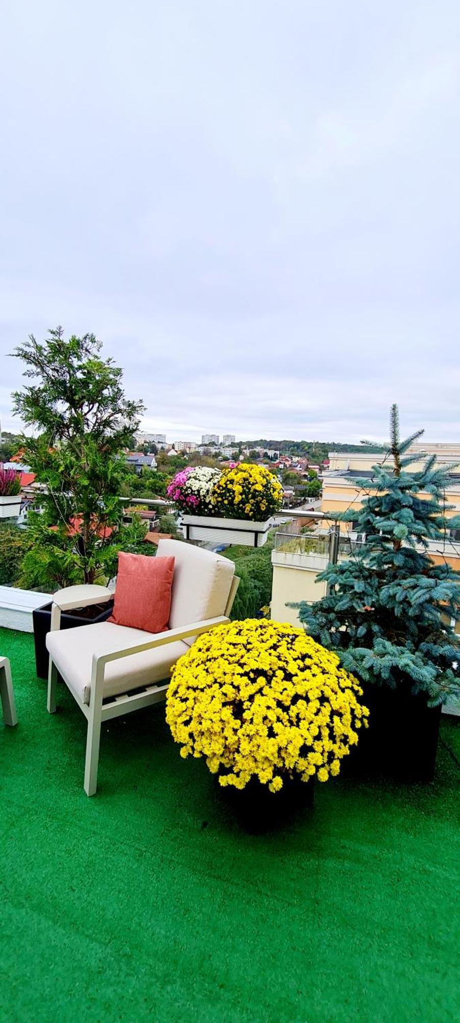 Penthouse View Aeroport Iasi Διαμέρισμα Εξωτερικό φωτογραφία